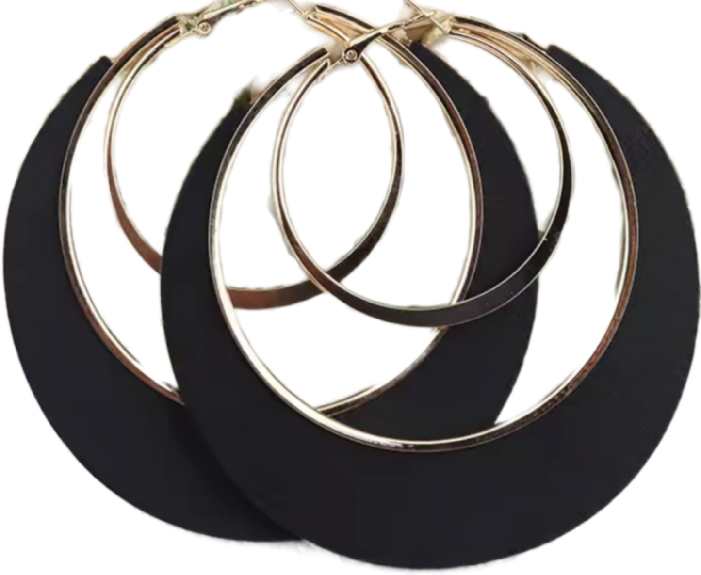 Hoop In A Hoop Earrings