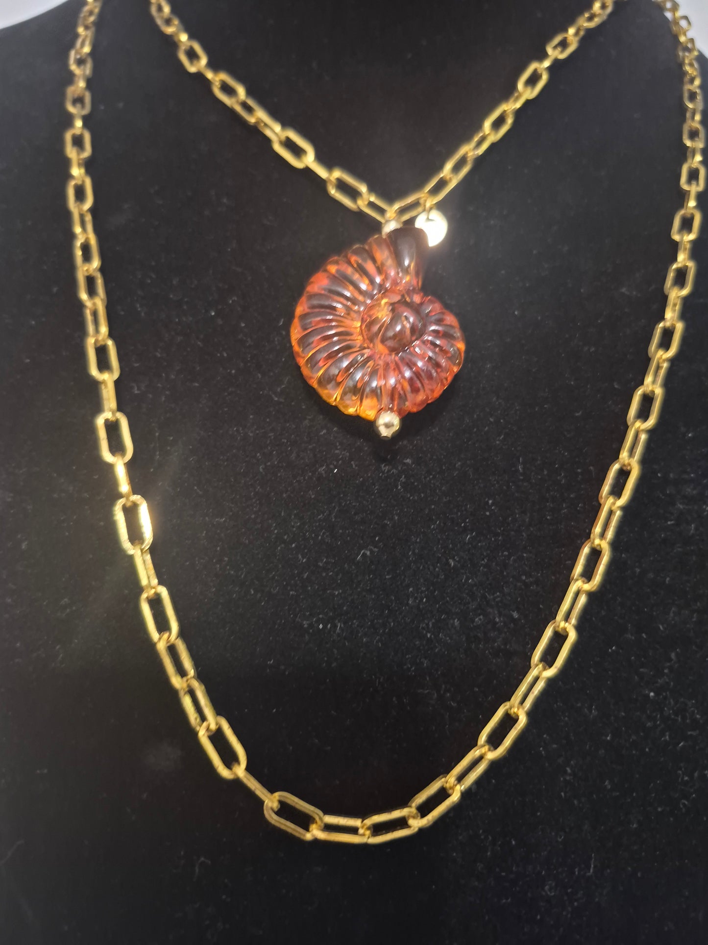Gold Chain Small Nautilus Shell Necklace
