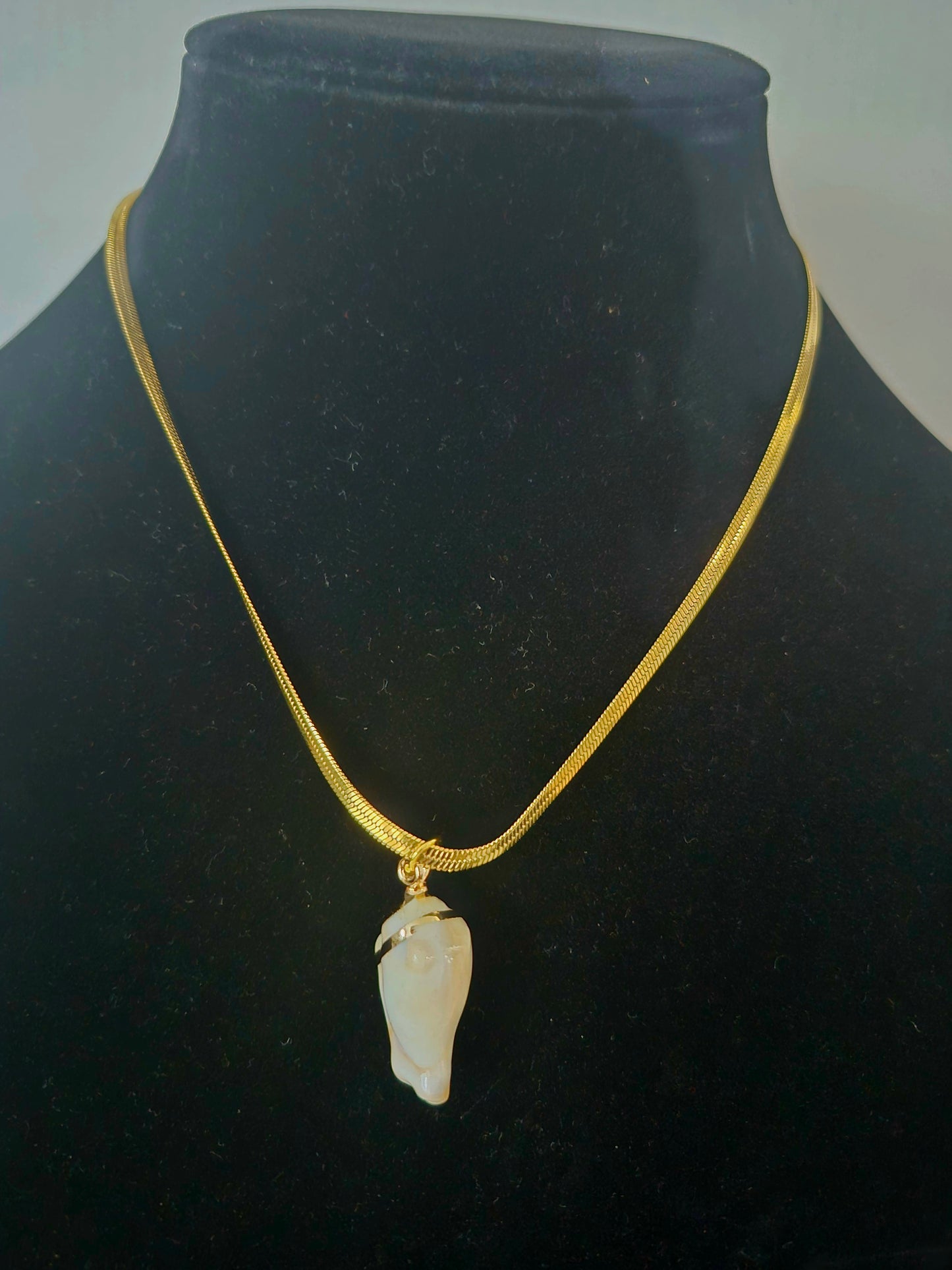 Small Gold Trim Conch Shell Necklace